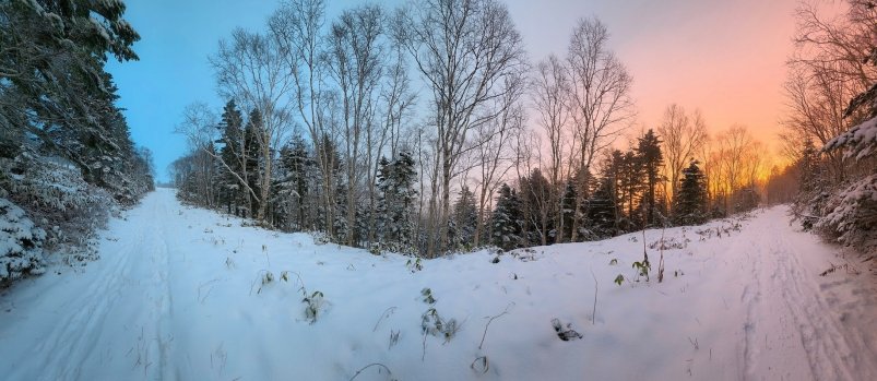 Снежный лес telegram-канал 𝐀𝐫𝐭 𝐈𝐯 (18+)