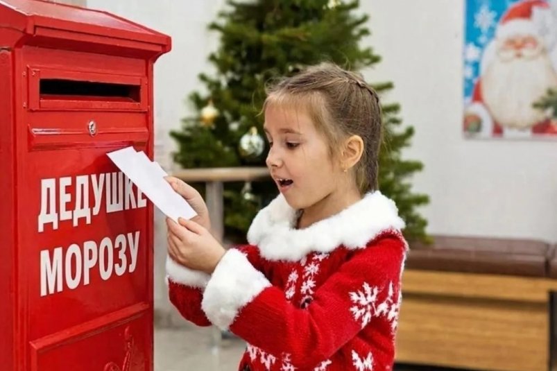 Письмо Деду Морозу ИА KamchatkaMedia