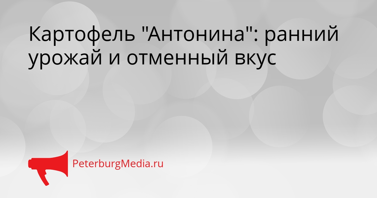 Картофель "Антонина": ранний урожай и отменный вкус Сгенерировано