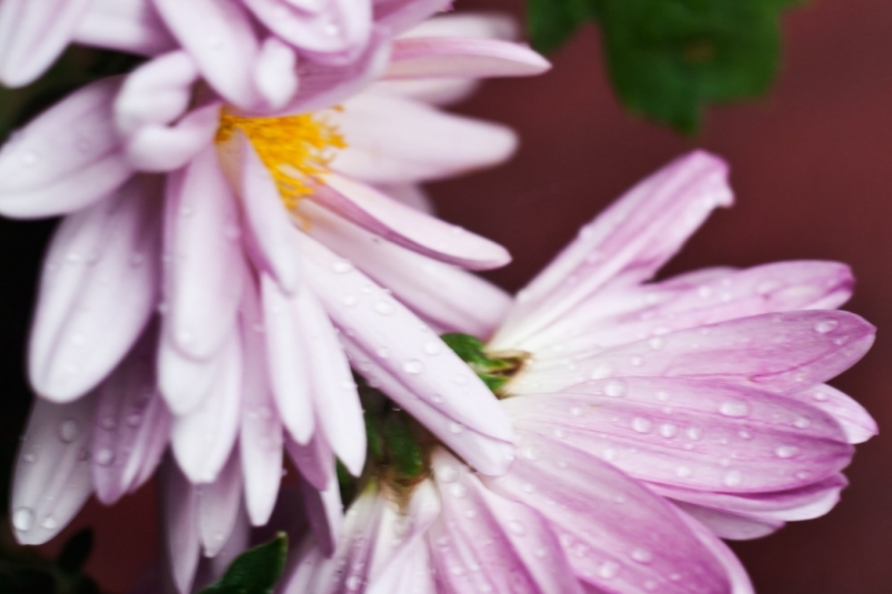 Тематическое фото pxhere.com (18+)