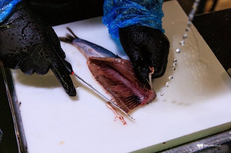 Разделка рыбы Мария Смитюк, ИА PrimaMedia