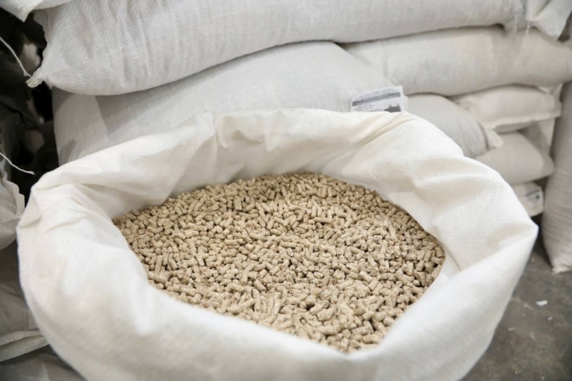 Тематическое фото пресс-служба правительства Сахалинской области