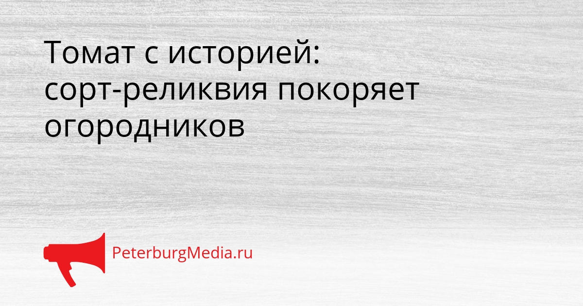 Томат с историей: сорт-реликвия покоряет огородников Сгенерировано
