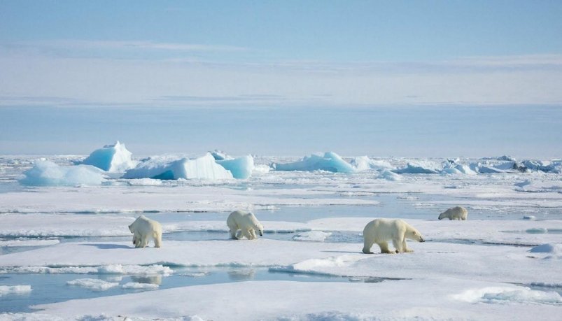 Изображение GigaChat (18+)