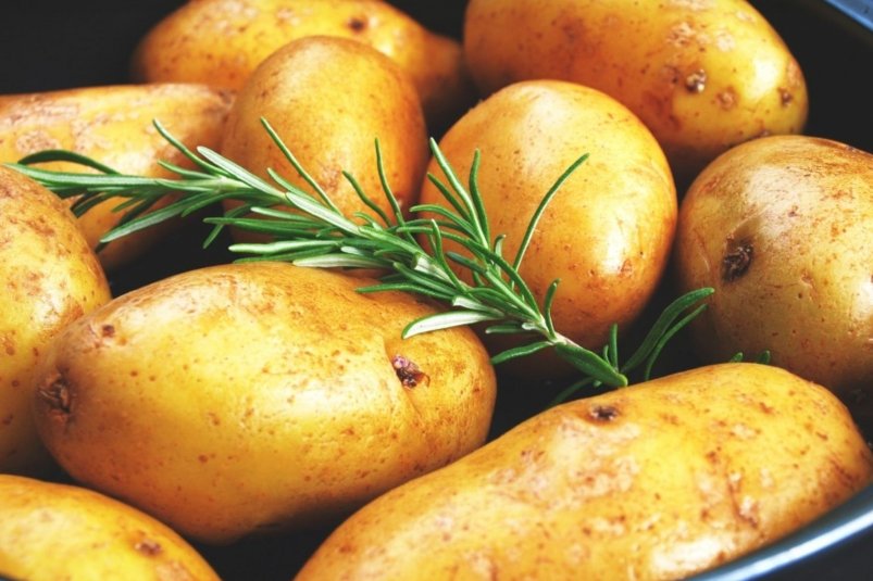 Тематическое фото pxhere.com