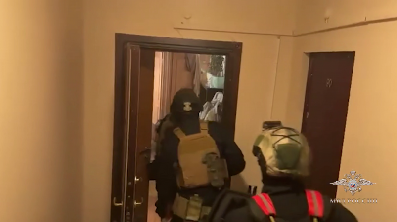 Тематическое фото Telegram / Официальный представитель МВД России Ирина Волк