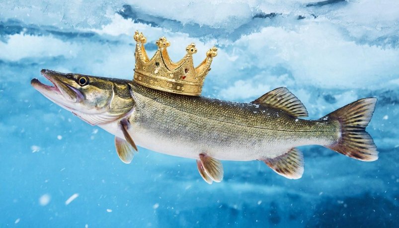 Поймать королевскую щуку в декабре - реальность: секретная тактика ИИ GigaChat (18+)