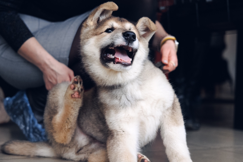 Тематическое фото Евгений Кулешов, ИА PrimaMedia