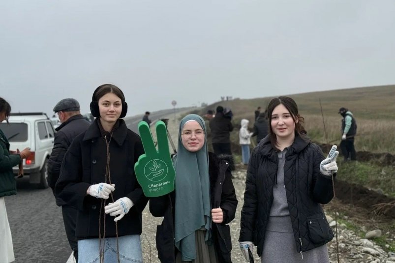 Более 4000 волонтеров Сбера реализуют социальные проекты на Юге и Кавказе Пресс-служба акции "Сохраним лес"