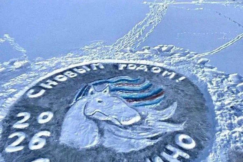 В Сковородинском округе создали коня-"патриота" с трехцветной гривой администрация Сковородинского округа