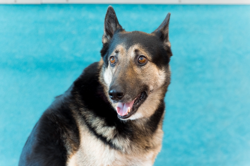 Тематическое фото ИА PrimaMedia