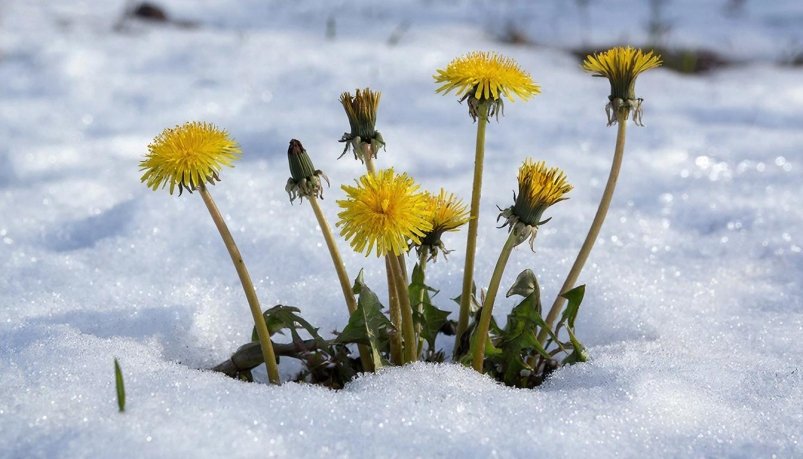 Потепление GigaChat