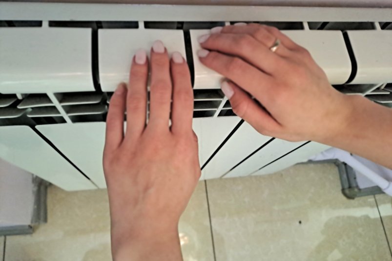 Тематическое фото Ольга Долгополова, ИА UssurMedia