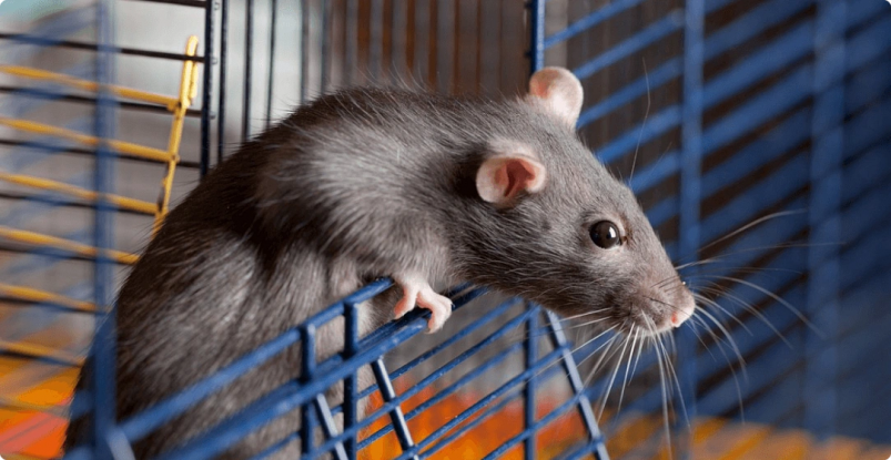 Тематическое фото unsplash.com