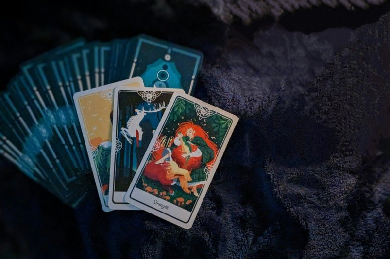 Тематическое фото unsplash.com