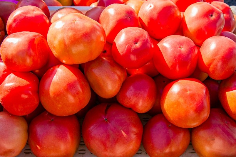 Тройка лучших томатов — урожай не успевала собирать: ранние и вкусные — в салат, на сок, в банку Мария Смитюк, ИА PrimaMedia.ru