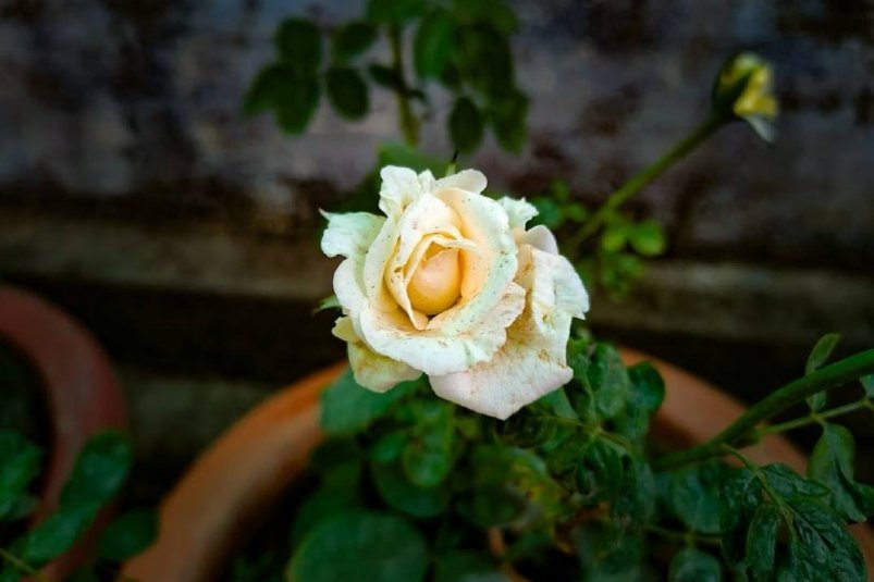 Тематическое фото unsplash.com