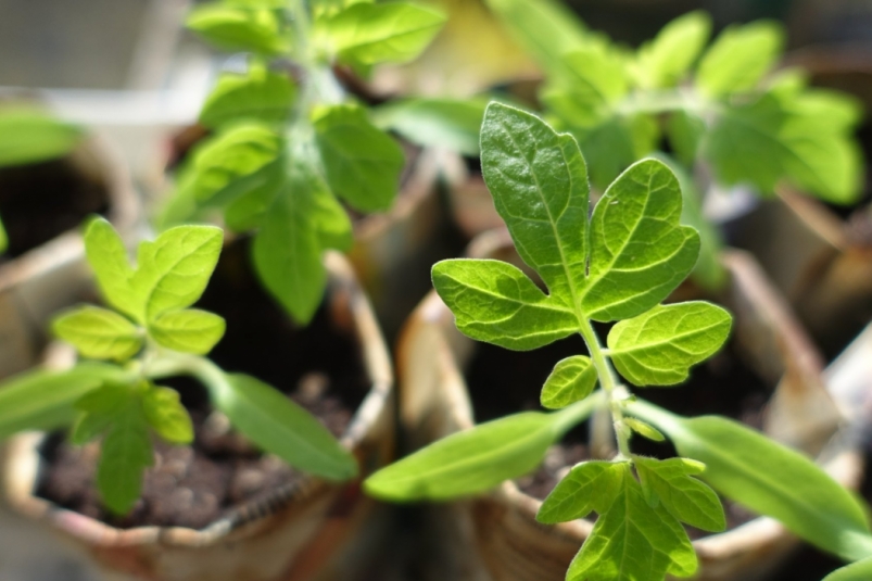 Тематическое фото pxhere.com (18+)