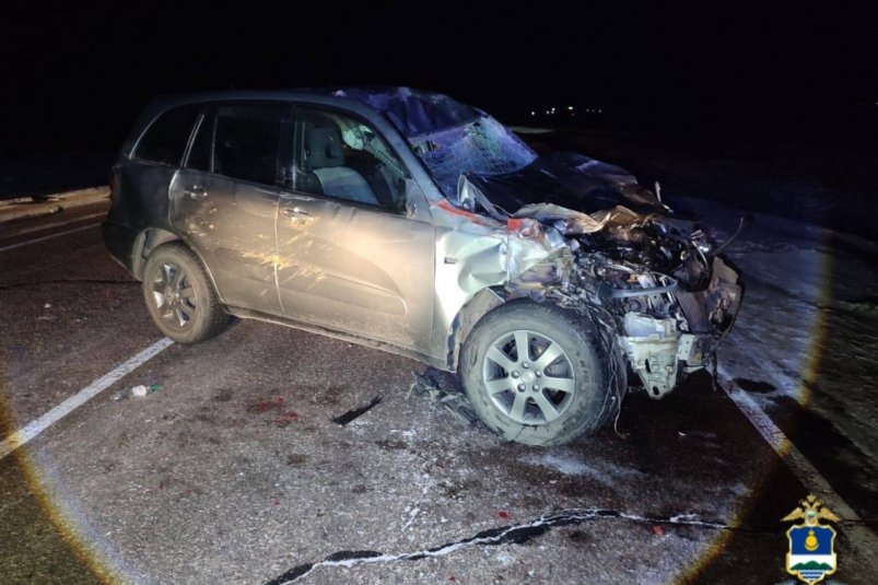 В ДТП с лошадью пострадали два человека в Бурятии ГИБДД по Бурятии