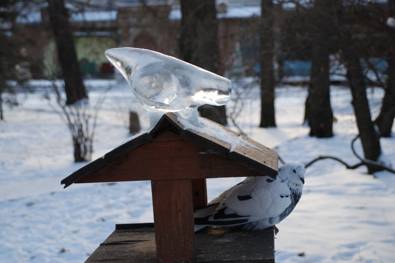 Тематическое фото pxhere.com (18+)