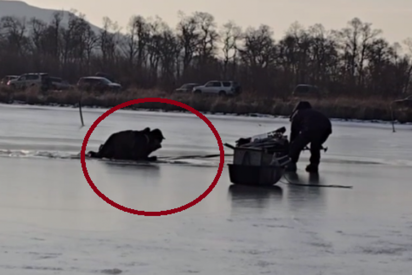 Скриншот тг-канал "Трепанг ДВ" (18+)