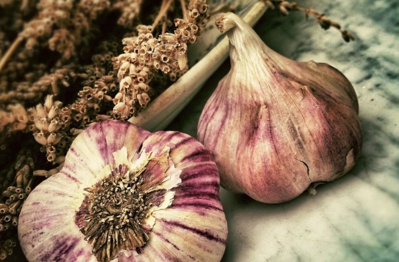 Тематическое фото pxhere.com