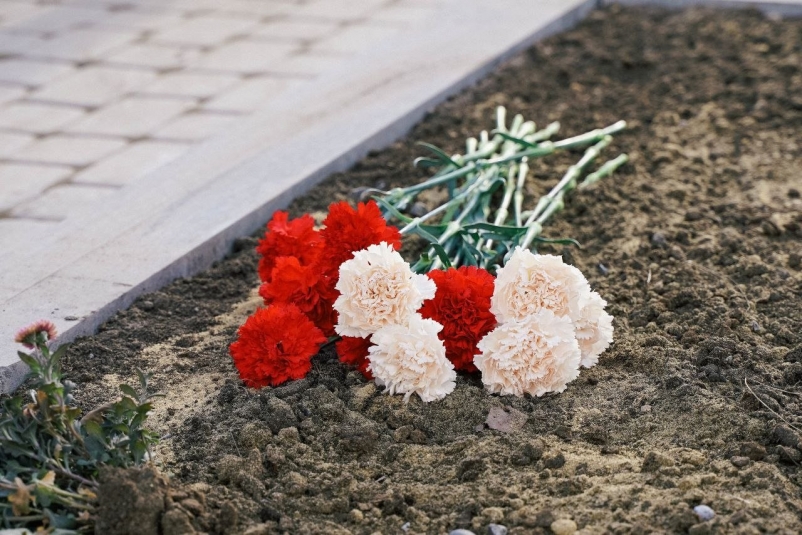 Аллея Пресс-служба администрации Иркутского МО