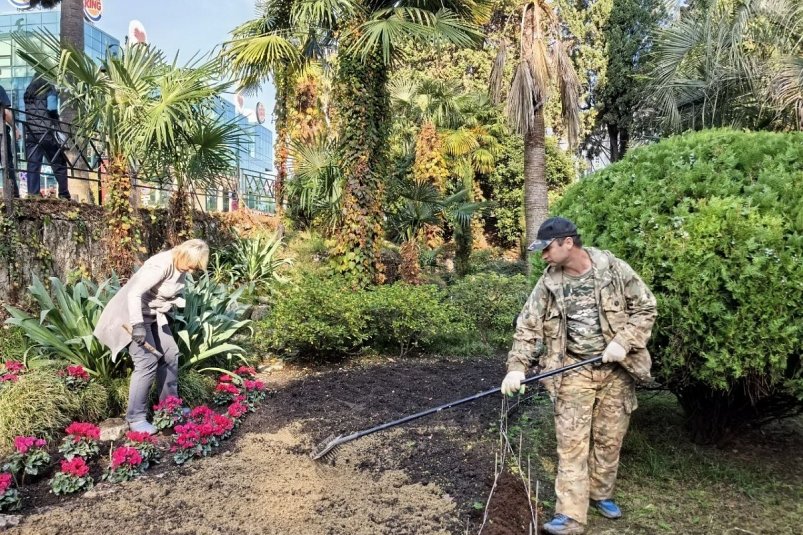 В Сочи высадят более 213 тысяч сезонных цветов Пресс-служба администрации Сочи