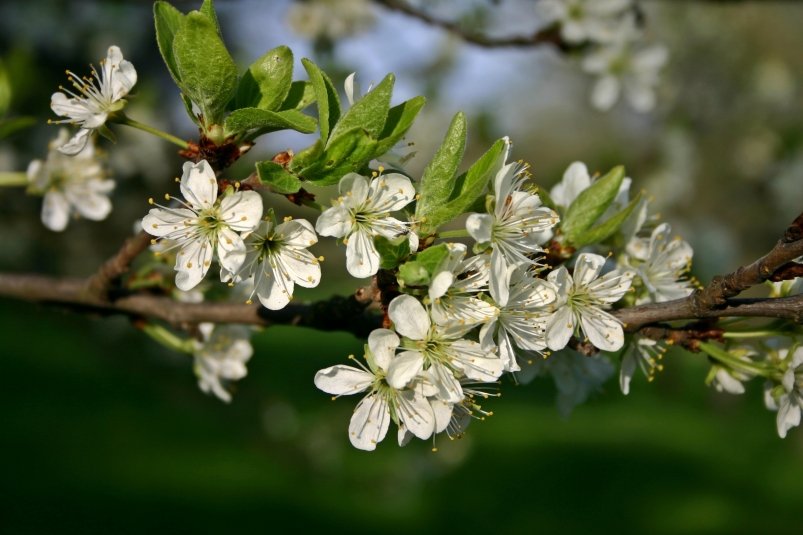 Тематическое фото pxhere.com (18+)