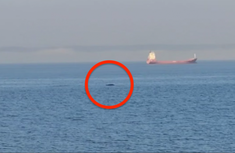 Скриншот Tg-канал &quotsvodka25" (18+)