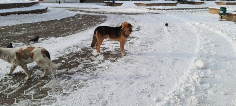 Тематическое фото ИА EAOMedia