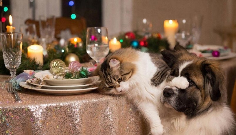 Тематическое фото GigaChat (18+)