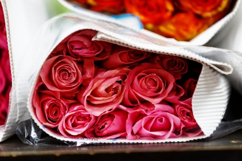 Тематическое фото Александр Хитров, ИА PrimaMedia