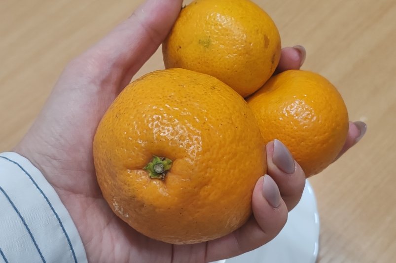 Тематическое фото Кулакова Ксения, ИА PrimaMedia