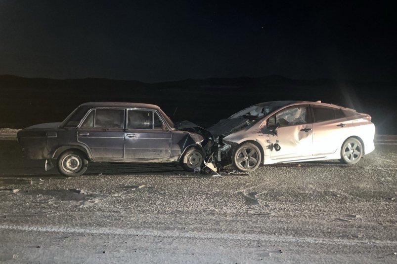 Два ДТП с животными за выходные случились в Бурятии в одном районе ГИБДД по Бурятии