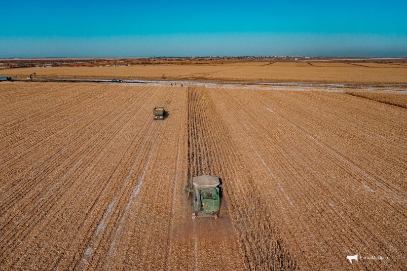 Уборка урожая в Приморье Мария Смитюк, ИА PrimaMedia