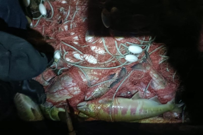 Жителей Хабаровского края уличили в браконьерстве на реке Амур Пресс-служба УМВД России по Хабаровскому краю