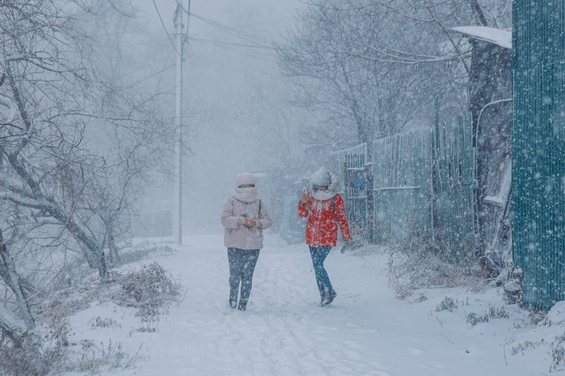 Тематическое фото ИА PrimaMedia