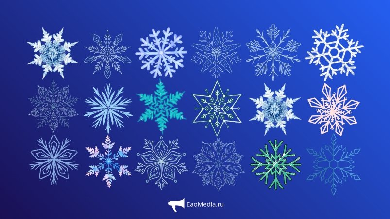 Тематическое фото ИА EAOMedia