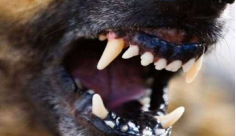 Тематическое фото Прокуратура Магаданской области