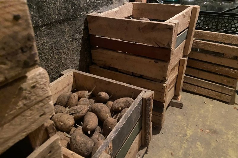 Кладу 2 кирпича по углам - и в погребе суше, чем в Сахаре: от конденсата и след простыл ИА Stavropol.Media