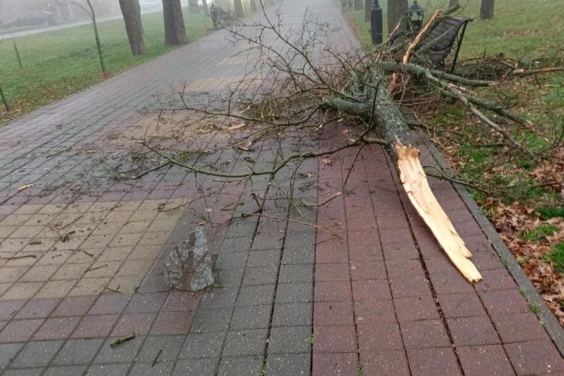 Очевидцы сняли на фото подследствия стихии Читатели ИА Stavropol.Media
