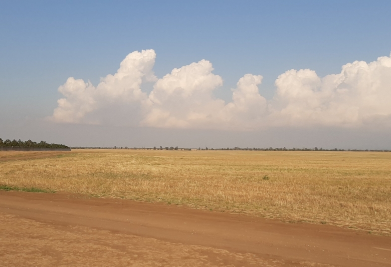 Тематическое фото ИА SevastopolMedia