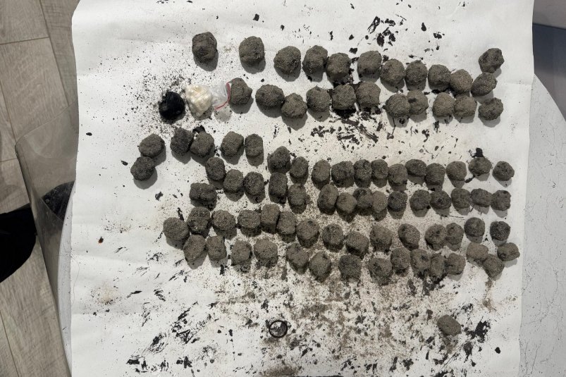 Наркокурьер с 6 кг "камней" попался полиции на улице Пятигорска ГУ МВД по Ставрополью