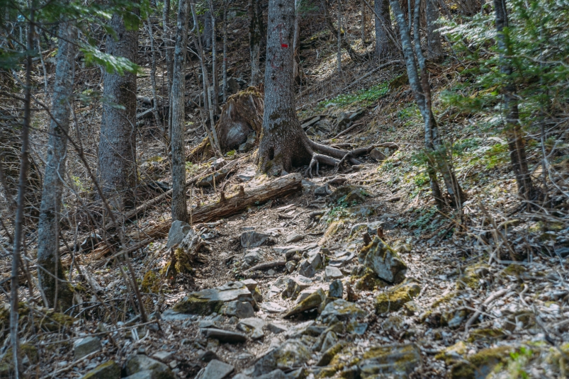 Женщины отстали от группы и потерялись в сочинских горах Мария Смитюк