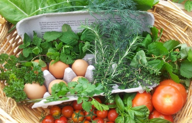 Тематическое фото pxhere.com