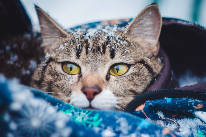 Зима Юлия Ушакова, ИА IrkutskMedia