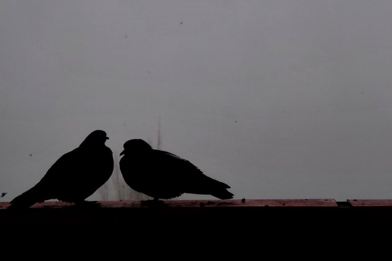 Три часа действовал режим беспилотной опасности на территории Ставрополья ИА Stavropol.Media