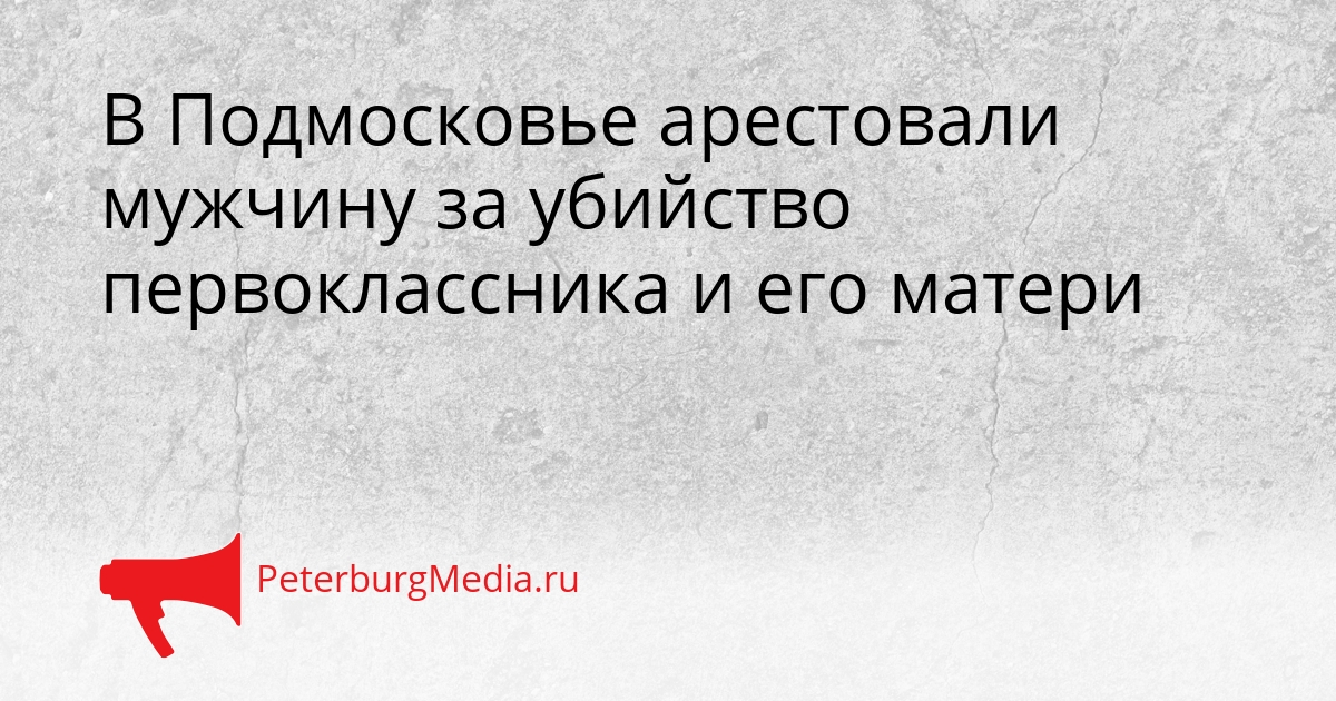 В Подмосковье арестовали мужчину за убийство первоклассника и его матери Сгенерировано