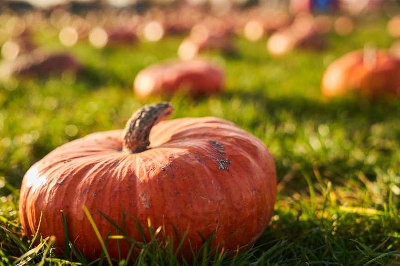 Тематическое фото freepik.com